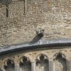 img_3165