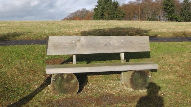 s1010046