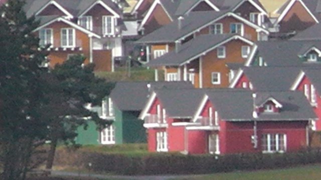 s1010060