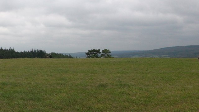 s1000022