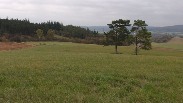 s1000026