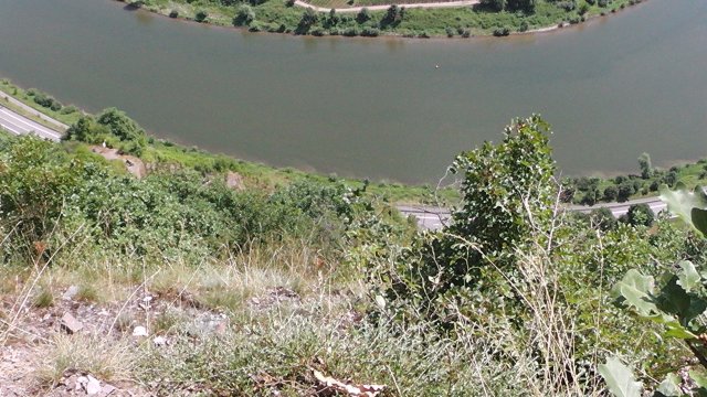 s1060065