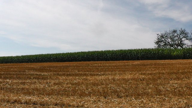 s1040054