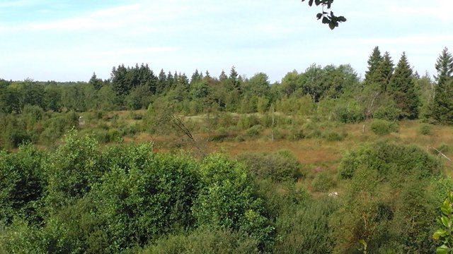 s1000005
