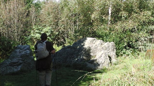 s1000019