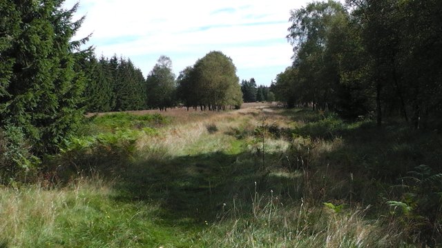 s1000050