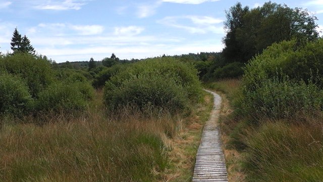 s1000068