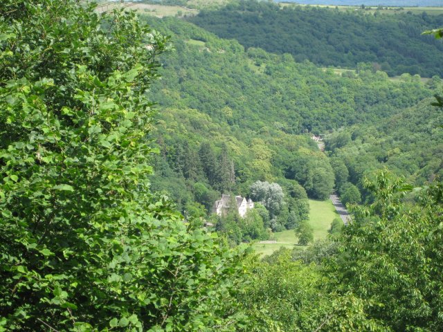 img_1396