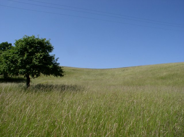 p1010284