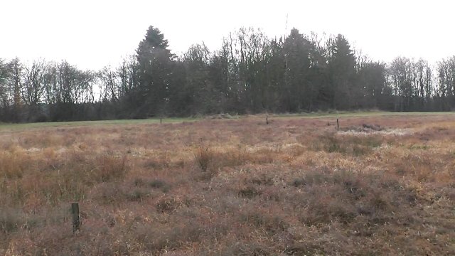 kloster-steinfeld-7