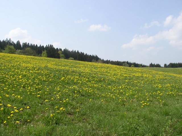 p1010182