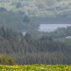 img_1382