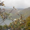 img_0912