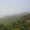 img_2224