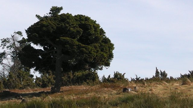 s1000071