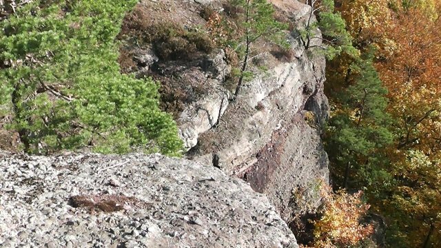 nideggen19