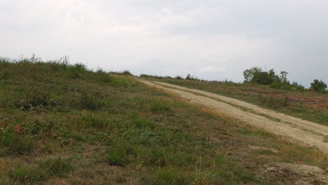 s1020031