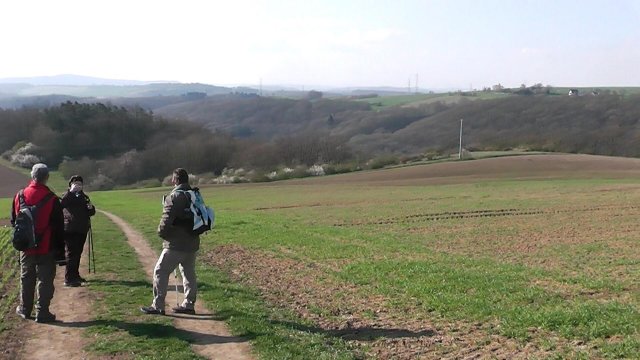 hochebene-oberhalb-der-pyrmonter-muehle