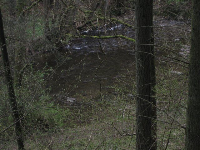 img_2607
