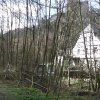 pyrmonter-muehle-2