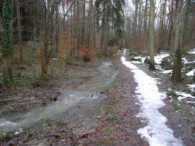 p1010061