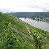 img_2795