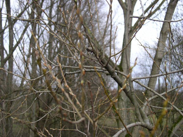 p1010118