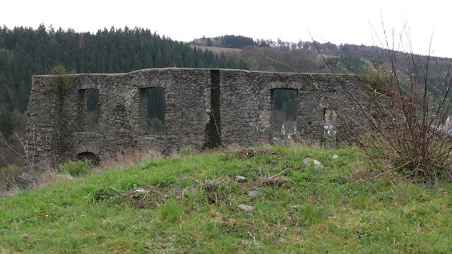 20-die-burgruine-virneburg