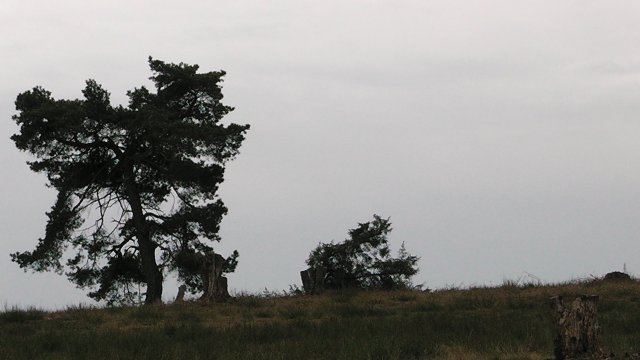 46-der-schafberg