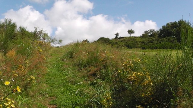 s1020042