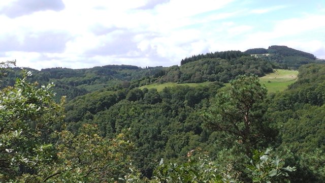 s1020089
