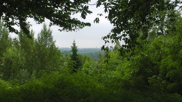 s1040018
