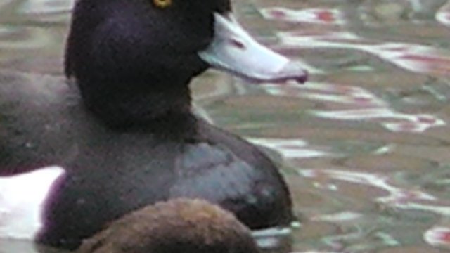 s1040058